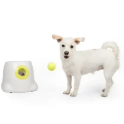 All For Paws HyperFetch Bollkastare Mini