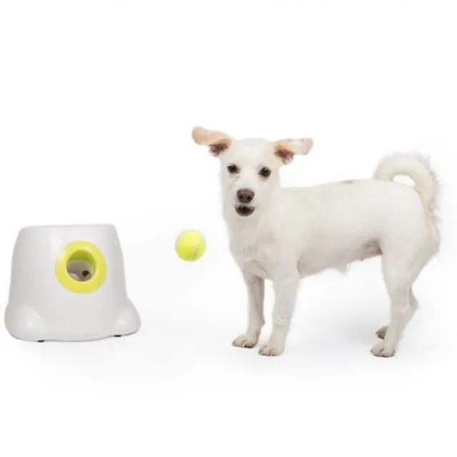 All For Paws HyperFetch Bollkastare Mini