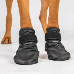 Back On Track Koda Hundskor 2-pack