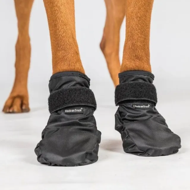 Back On Track Koda Hundskor 2-pack