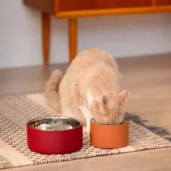 Basic DoubleWall Hundskål Röd 1200 ml