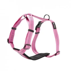 Basic First Y-sele Violett