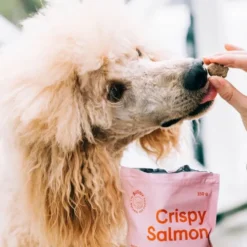 Buddy Petfoods Crispy Salmon Hundgodis 150 g