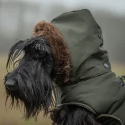 51 Degrees North Inuit Hundjacka med Luva Grön