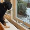 DogSpace Startkit för att Valpsäkra hemmet