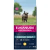 Eukanuba Dog Everyday Small / Medium 16,5 kg