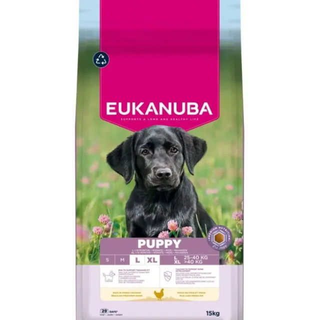 Eukanuba Puppy Large Breed Chicken