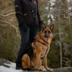 Feel Active Outdoor Hundsele med Ficka Svart