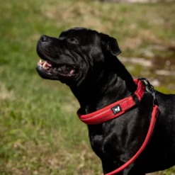 Feel Active Vadderat Hundhalsband Halvstryp Röd