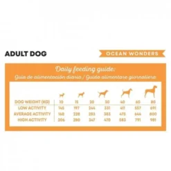 Harper&Bone Dog Adult Medium/Large Ocean Wonders