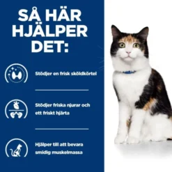 Hill's Prescription Diet Feline y/d Thyroid Care Original