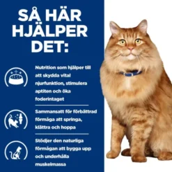 Hill's Prescription Diet Feline k/d j/d Kidney + Mobility Chicken