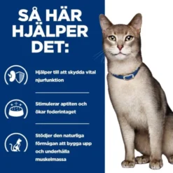 Hill's Prescription Diet Feline k/d Kidney Care Beef 12x85 g
