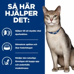 Hill's Prescription Diet Feline k/d Chicken 156 g