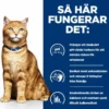 Hill's Prescription Diet Feline c/d Multicare Minced Chicken 156 g