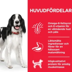 Hills Science Plan Canine Adult Chicken