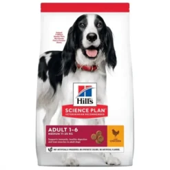 Hills Science Plan Canine Adult Chicken