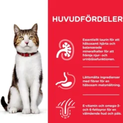 Hill's Science Plan Cat Mature Adult 7+ Chicken