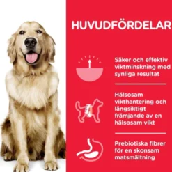 Hill's Science Plan Dog Adult Perfect Weight Large Breed Chicken 12 kg