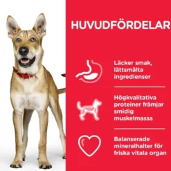 Hill's Science Plan Dog Adult Performance Chicken 14 kg