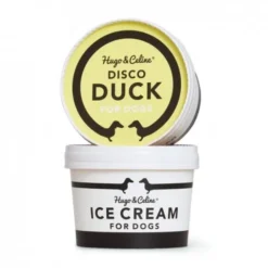 Hugo & Celine Disco Duck