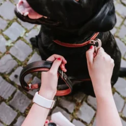 Hunter Canadian UP Hundhalsband Läder Brun
