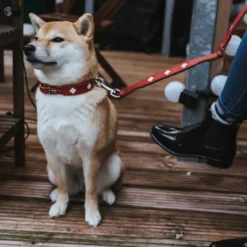 Hunter Hundhalsband Läder Swiss Röd