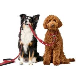 Hunter Training Hundkoppel Läder Love Röd
