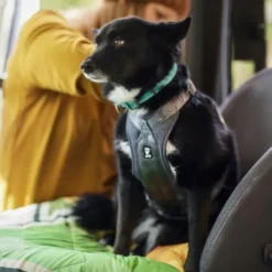 Hurtta Travel Harness ECO Bilsele Svart