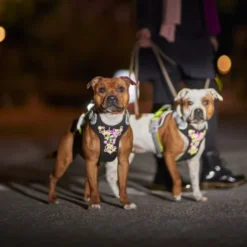 Hurtta Weekend Warrior Hundsele Neon/Svart