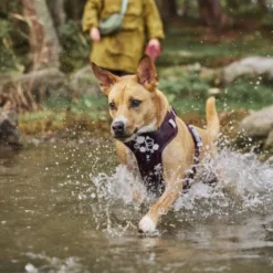 Hurtta Weekend Warrior II ECO Hundsele Lila