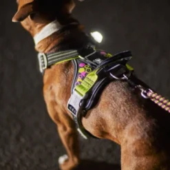 Hurtta Weekend Warrior Neon II Hundsele Svart
