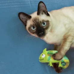 KONG Cat Refillables Kameleont med Kattmynta