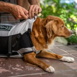 K9 Sport Sack Knavigate Hundryggsäck Grå