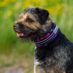 Kusse&Kutta Hundhalsband Halvstryp Lila Blommor