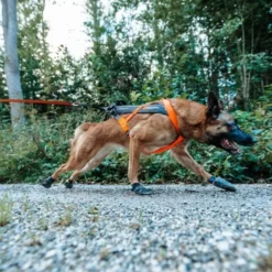 Non-Stop Dogwear Freemotion 5.0 Dragsele Orange & Svart