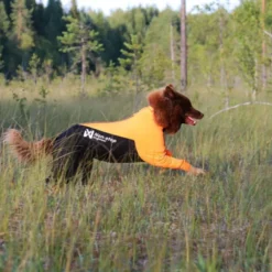 Non-stop Dogwear Protector Hundoverall för Tikar Svart & Orange