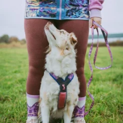 Non-stop Dogwear Trail Quest Rachel Pohl Hundkoppel 15 mm x 2 m Rosa/Lila