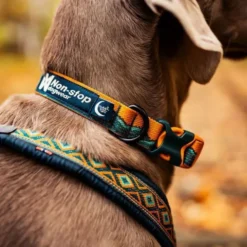 Non-stop Dogwear Trail Quest Rachel Pohl Hundhalsband Brun