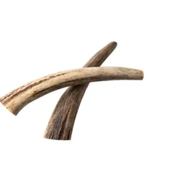 Nutriment Natural Antler Hjorthorn
