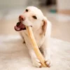 POCCA European Bone Nöt Tuggrulle 37 cm