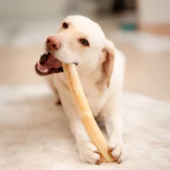 POCCA European Bone Nöt Tuggrulle 37 cm