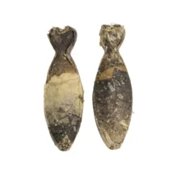 POCCA European Bone Torsk 18 cm 2-pack