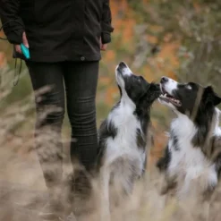 Pro Dog Whizzclick Visselpipa/Klicker Mintgrön