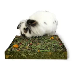 Rosewood Nibble'n'DigMedow