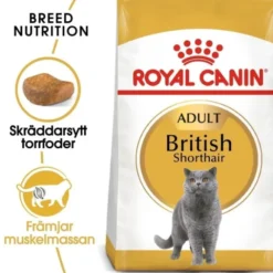 Royal Canin British Shorthair Adult torrfoder för katt