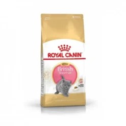 Royal Canin British Shorthair Kitten torrfoder för kattunge