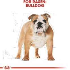 Royal Canin Bulldog Adult torrfoder för hund