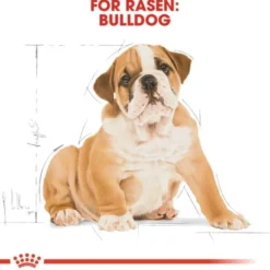 Royal Canin Bulldog Puppy torrfoder för hundvalp