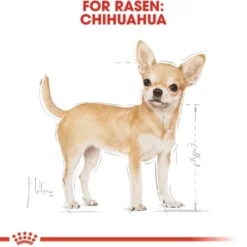 Royal Canin Chihuahua Adult Loaf våtfoder för hund 12x85g